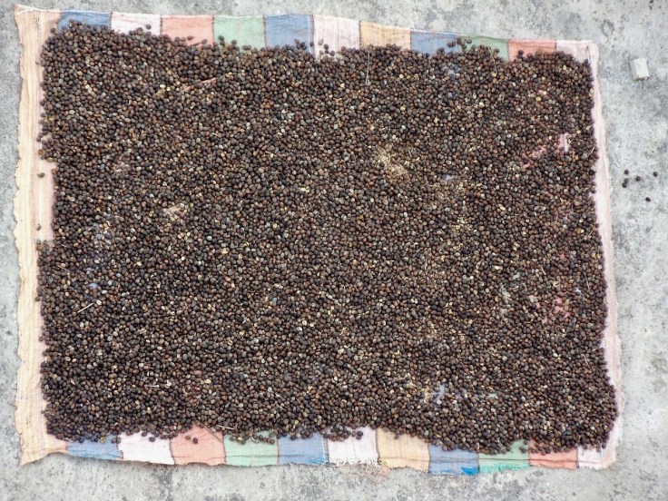 coffee-163751_1280 2.jpg