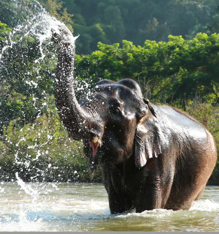 Screen Shot 2018-09-15 at 13.42.31